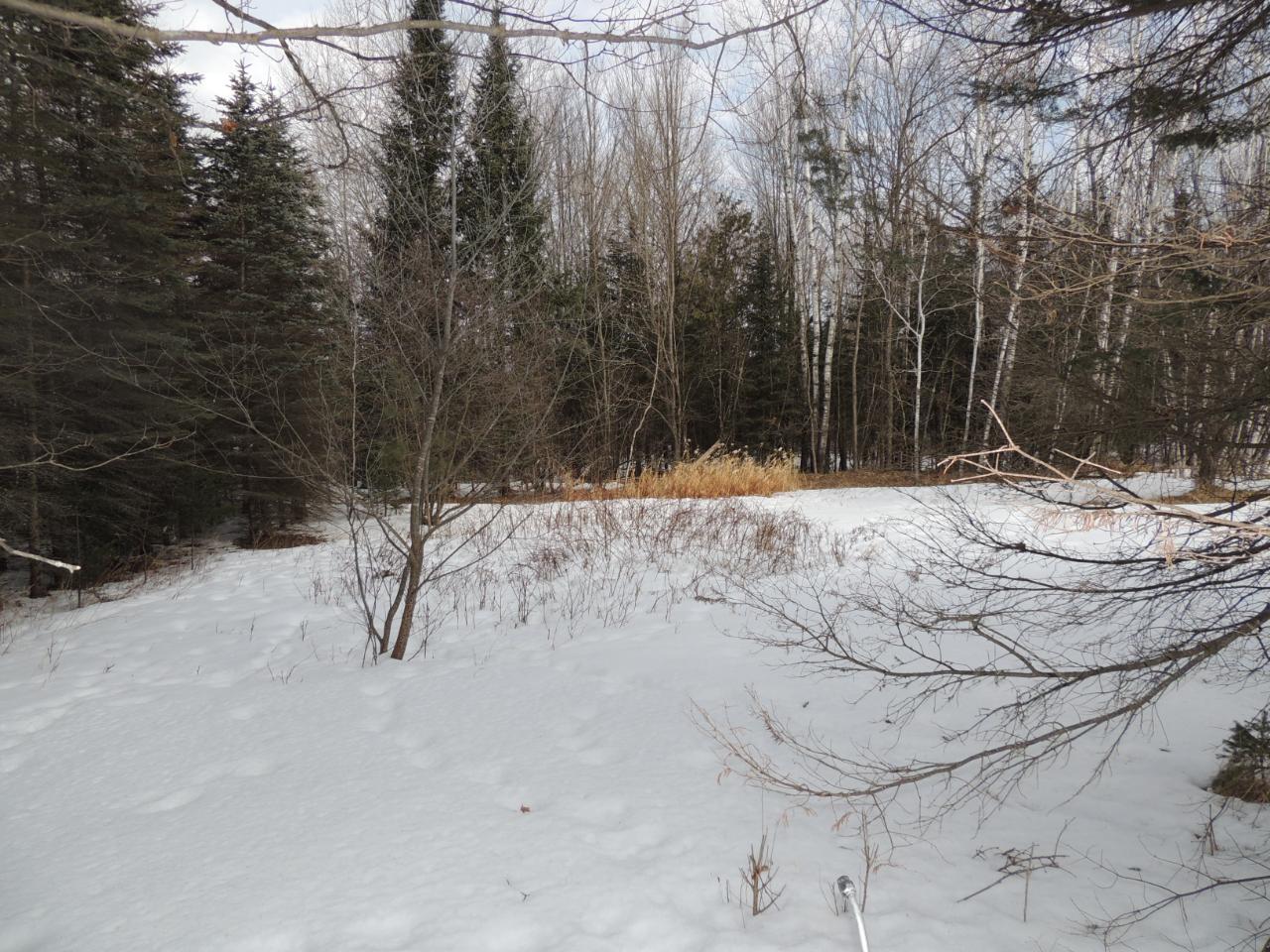 W7268 Riverside Road Antigo, WI 54409 - Photo 16 of 22 Gallery Image 16