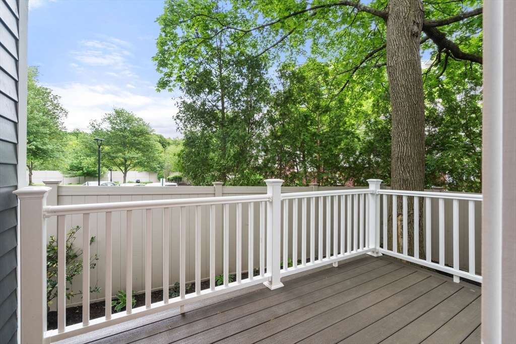 22 Carter Street Newton, MA 02460 - Photo 15 of 26