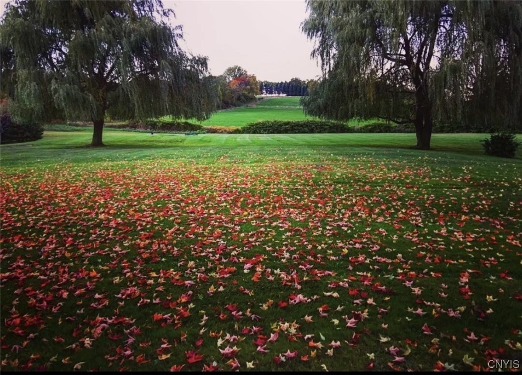 509 McLean Road Cortlandville, NY 13045 - Photo 30 of 34