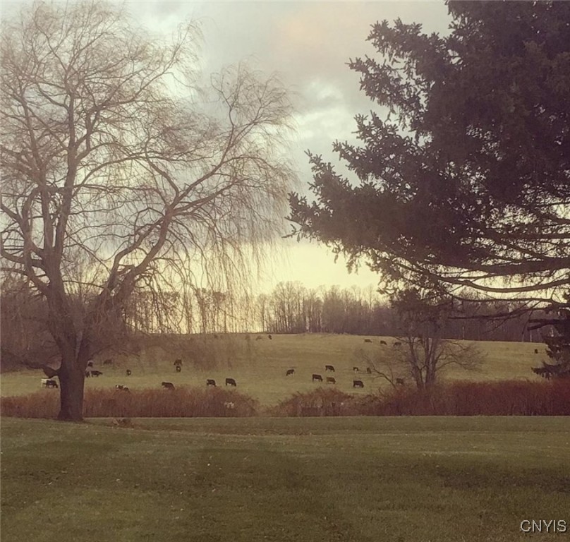 509 McLean Road Cortlandville, NY 13045 - Photo 31 of 34