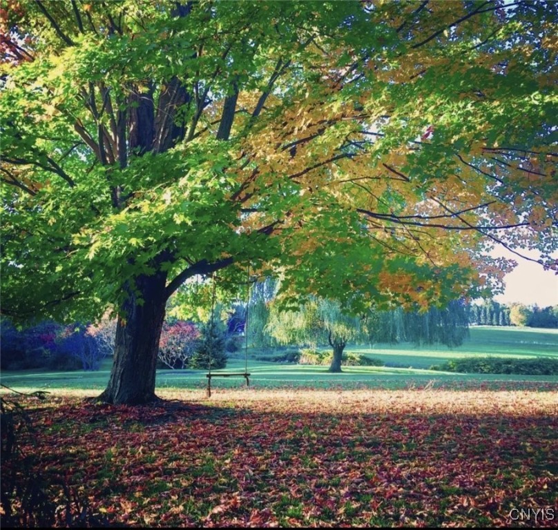 509 McLean Road Cortlandville, NY 13045 - Photo 32 of 34