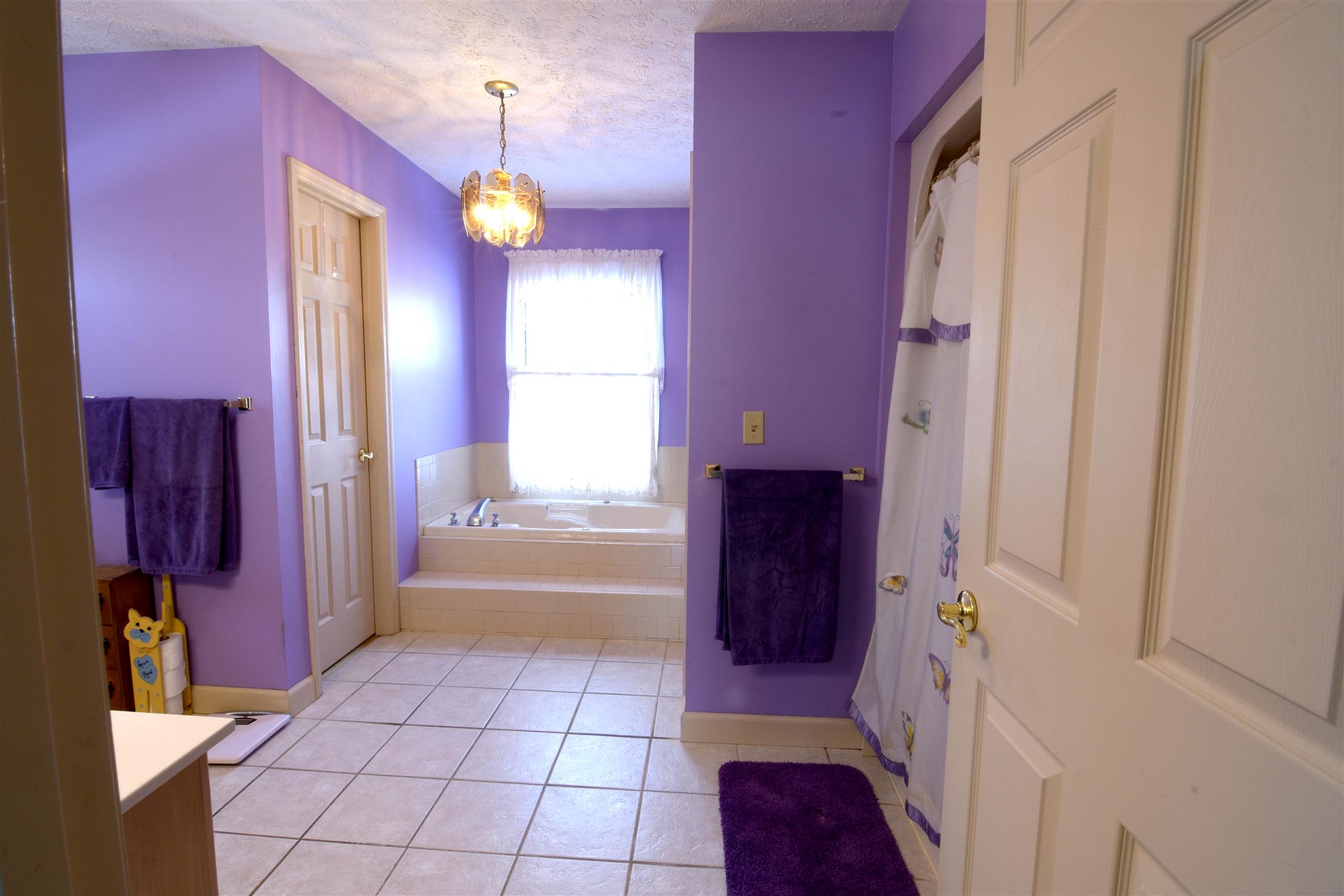 536 Urban Farms Road Manchester, TN 37355 - Photo 14 of 24 Master Bathroom