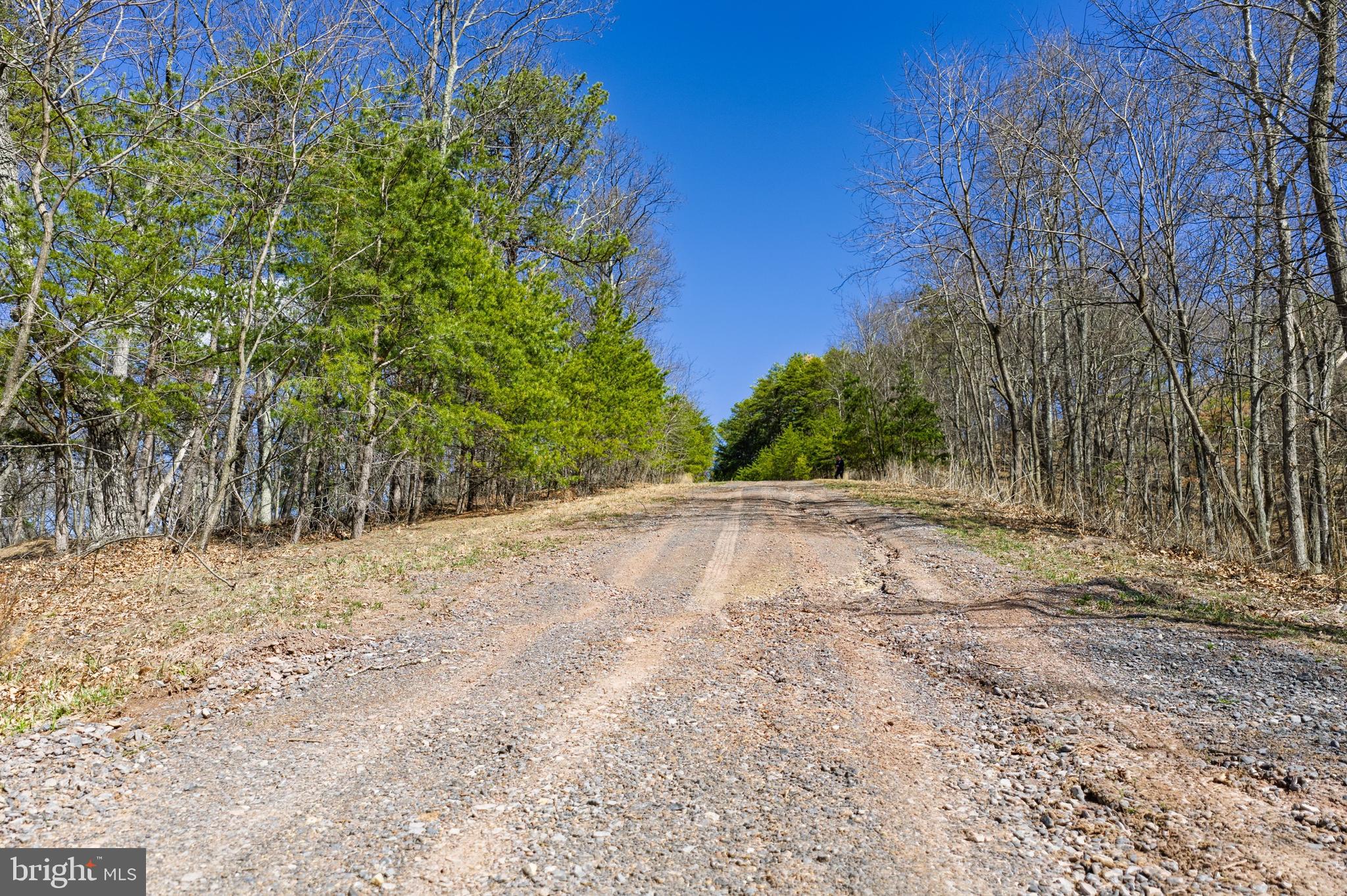 Hunters Ridge Trail Milam, WV 26838 - Photo 13 of 32