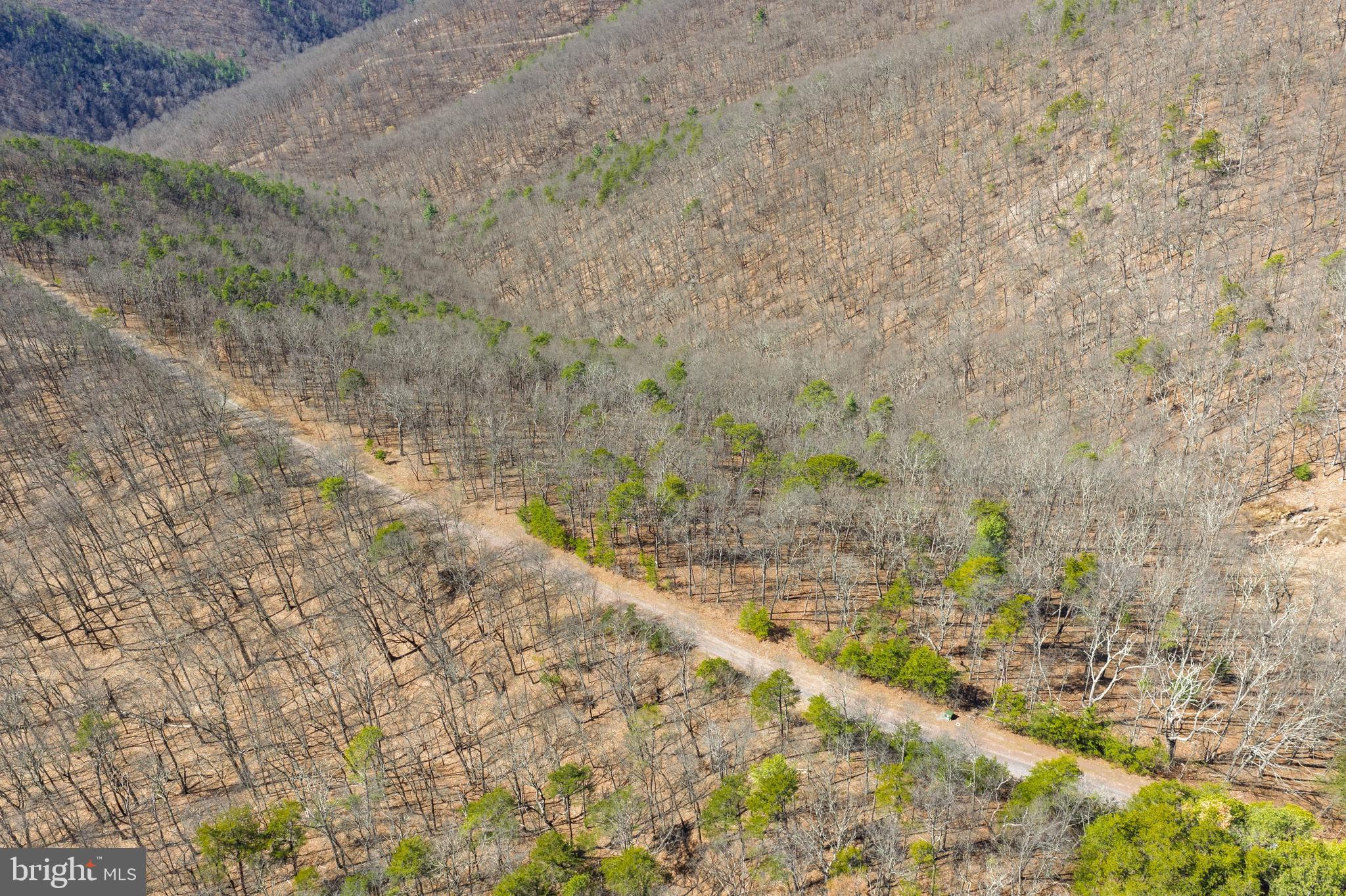 Hunters Ridge Trail Milam, WV 26838 - Photo 19 of 32