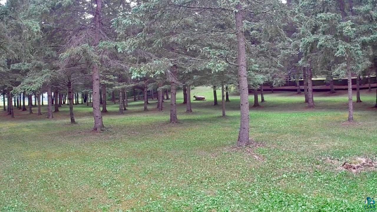 10261 Wien Road Cook, MN 55723 - Photo 31 of 52 Gallery Image 31