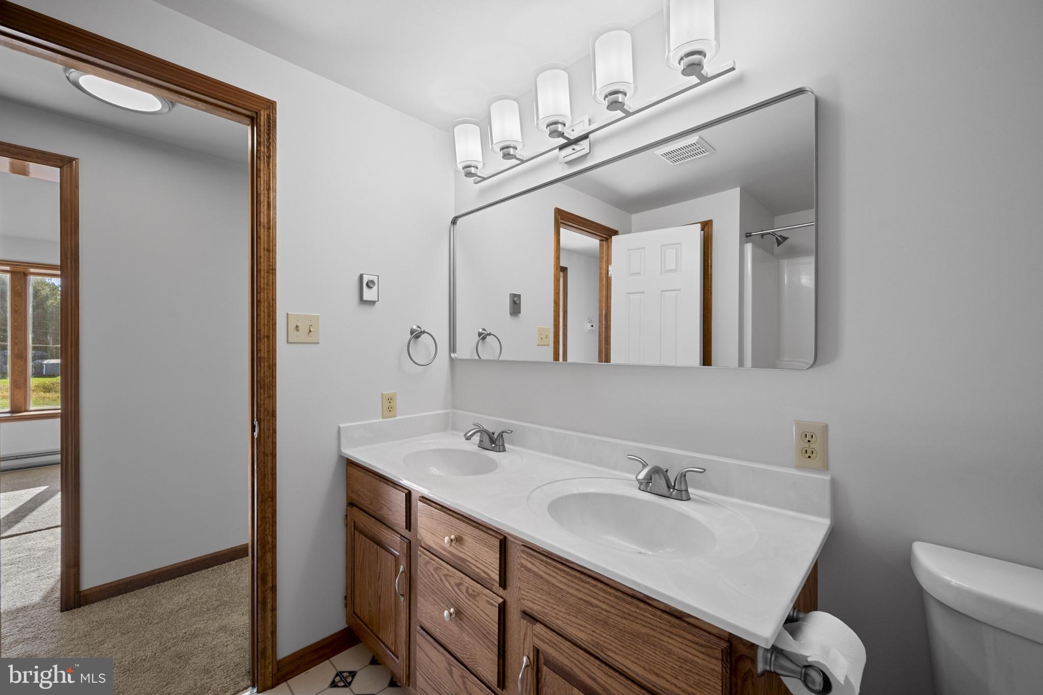 3226 Bidle Road Middletown, MD 21769 - Photo 15 of 49 a bathroom with a sink vanity mirror and toilet