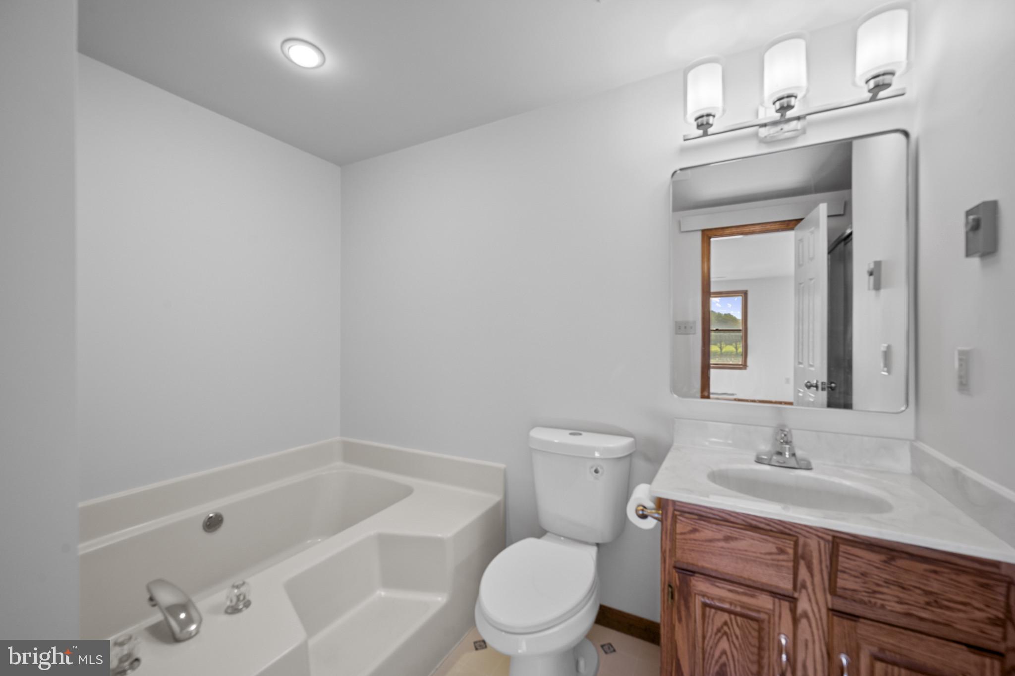 3226 Bidle Road Middletown, MD 21769 - Photo 19 of 49 a bathroom with a granite countertop sink a toilet and shower