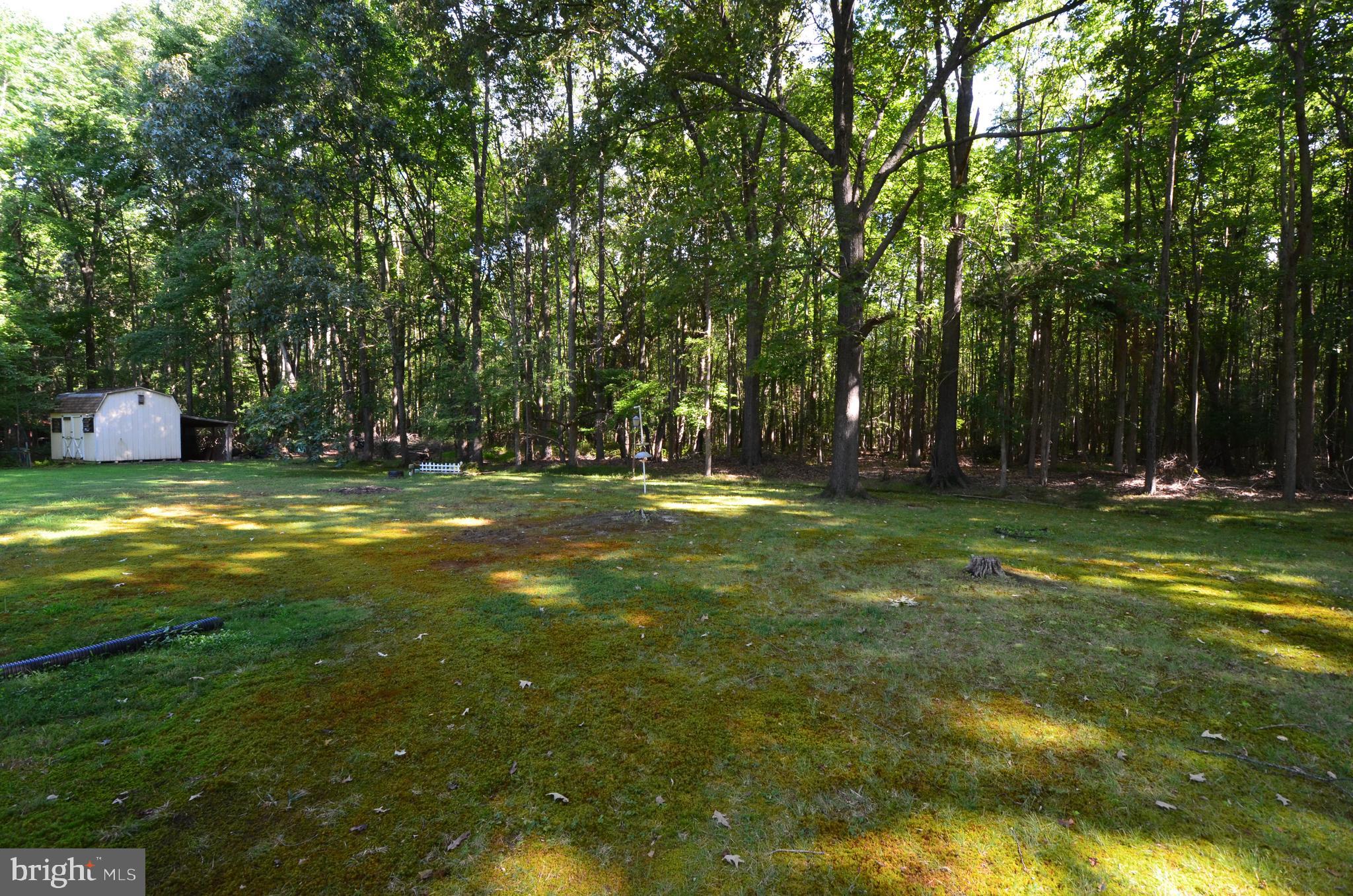1230 Steamboat Road Shady Side, MD 20764 - Photo 40 of 42 Rear yard