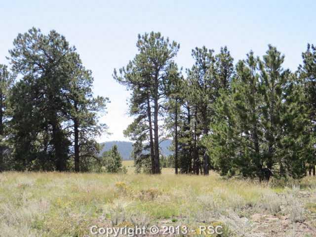 86 Doe Valley Road Guffey, CO 80820 - Photo 3 of 25