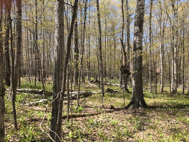 Fox Point Road Egg Harbor, WI 54209 - Photo 1 of 11 Main View