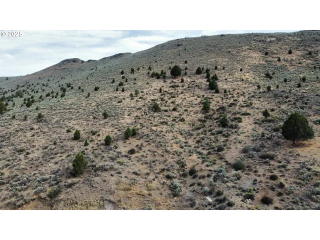 a view of a mountain in the distance