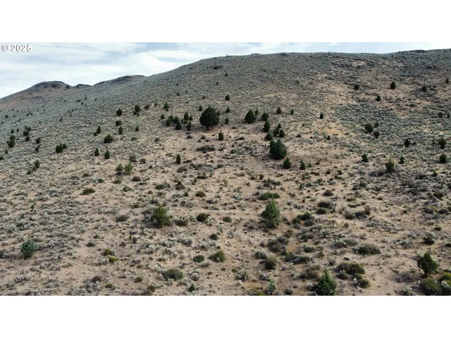 a view of a mountain in the distance