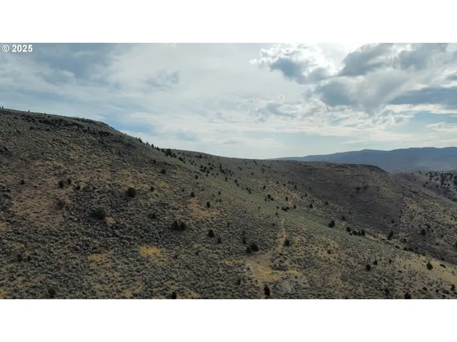 a view of a dry yard