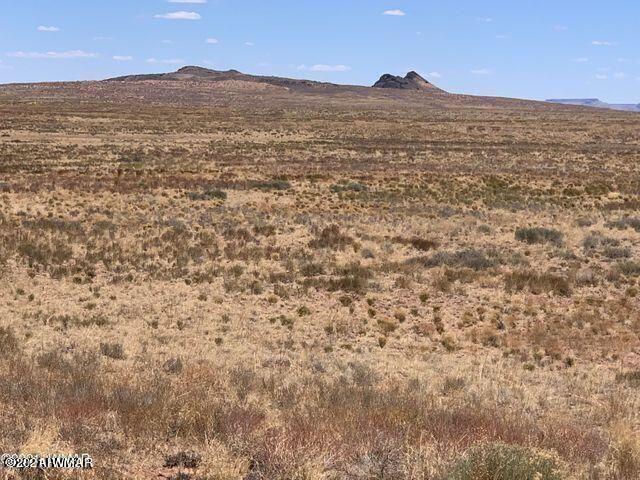 Arizona Arizona Rancheros Holbrook, AZ 86025 - Photo 1 of 4