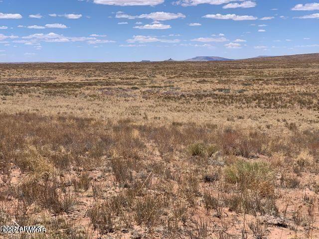 Arizona Arizona Rancheros Holbrook, AZ 86025 - Photo 2 of 4