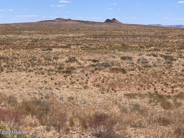 Arizona Arizona Rancheros Holbrook, AZ 86025 - Photo 3 of 4