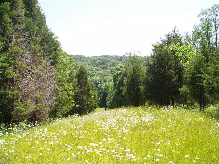 0 South Bear Creek Road Bennington, IN 47011 - Photo 1 of 1