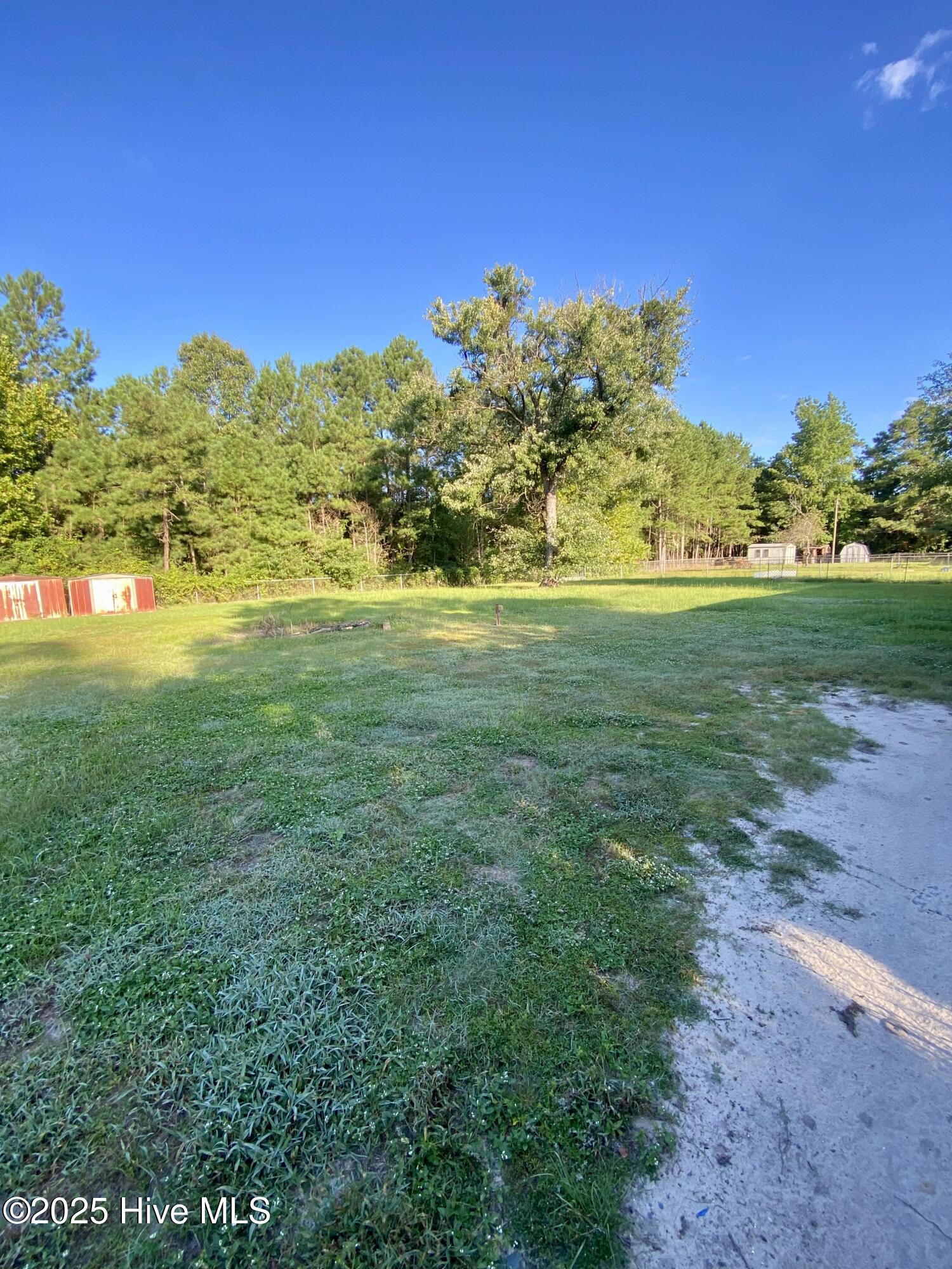 21140 Airbase Road Wagram, NC 28396 - Photo 19 of 19 Backyard view 2