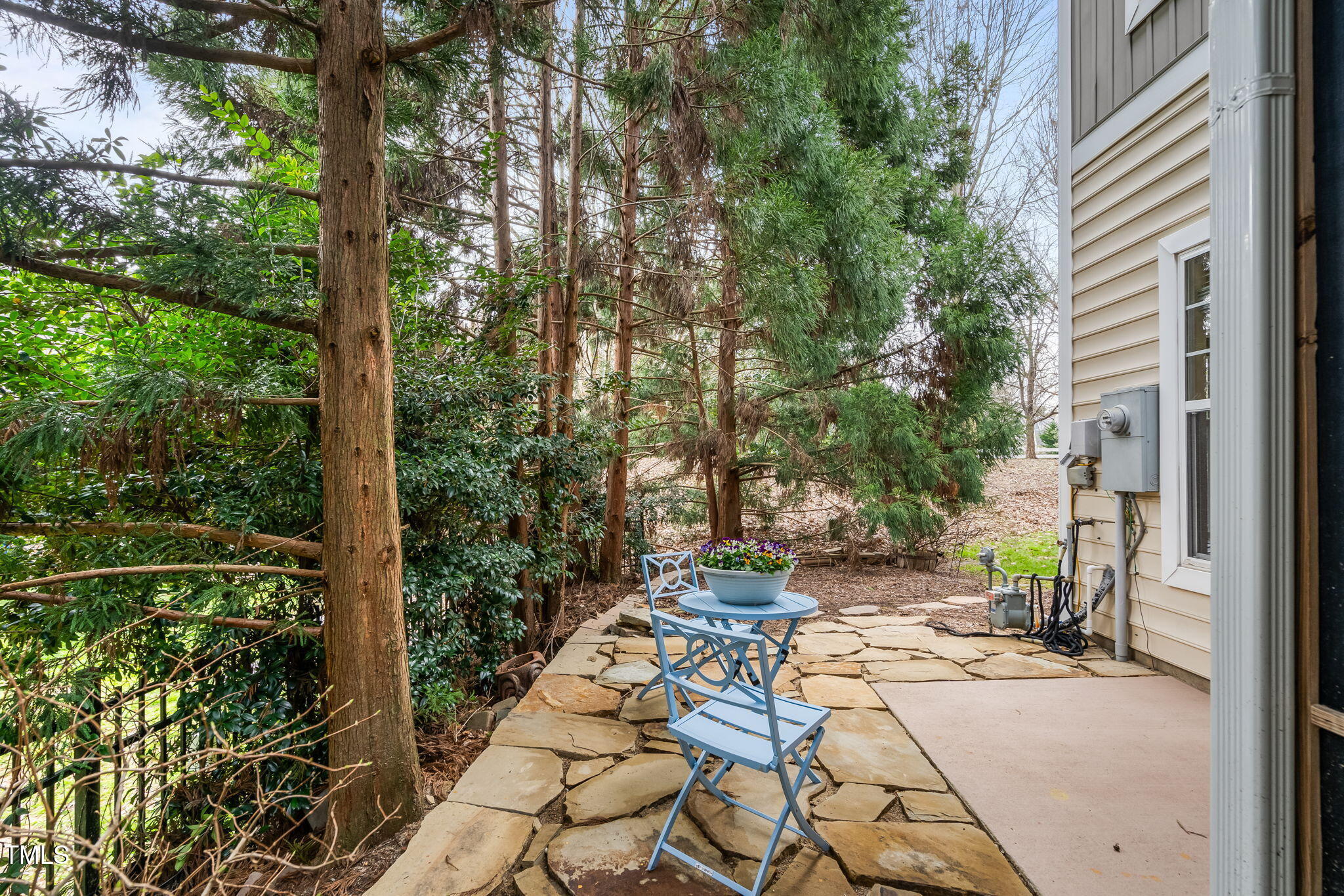 2302 Wispy Green Lane Raleigh, NC 27614 - Photo 6 of 31 8-web-or-mls-DSC09799