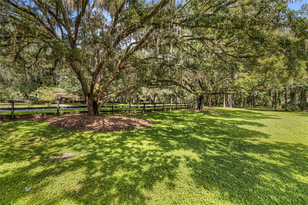 6685 Southwest 18th Terrace Road Ocala, FL 34476 - Photo 64 of 79 Gallery Image 64