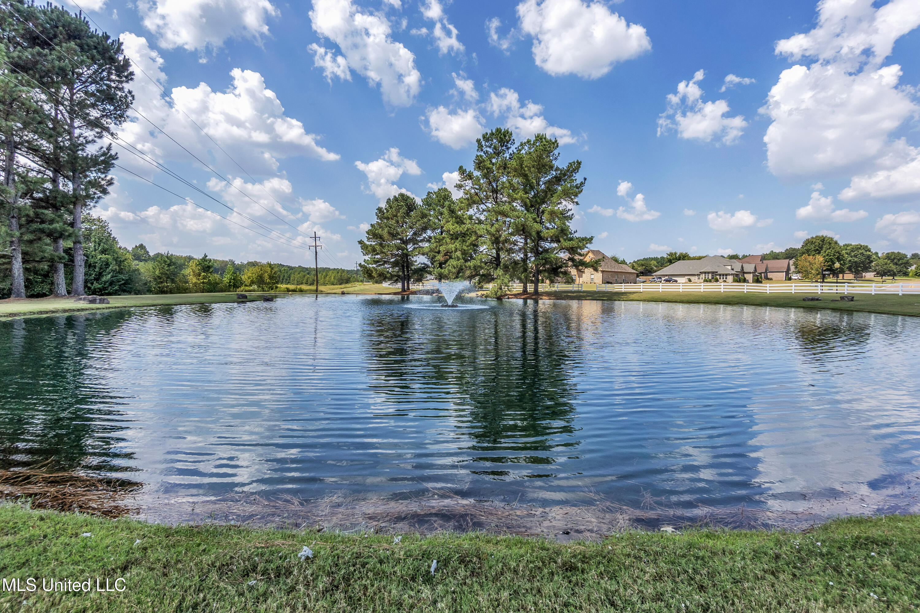 12780 Myrtle Bend Loop Olive Branch, MS 38654 - Photo 4 of 25 43-DSC01016