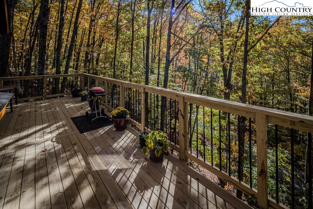 207 Jackpine Road Beech Mountain, NC 28604 - Photo 27 of 34