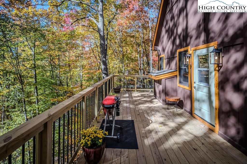 207 Jackpine Road Beech Mountain, NC 28604 - Photo 28 of 34