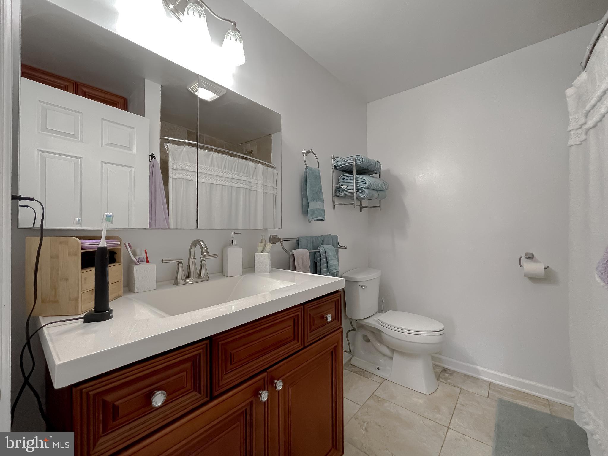 17262 Larimer Street Piney Point, MD 20674 - Photo 19 of 44 a bathroom with a sink a toilet and mirror