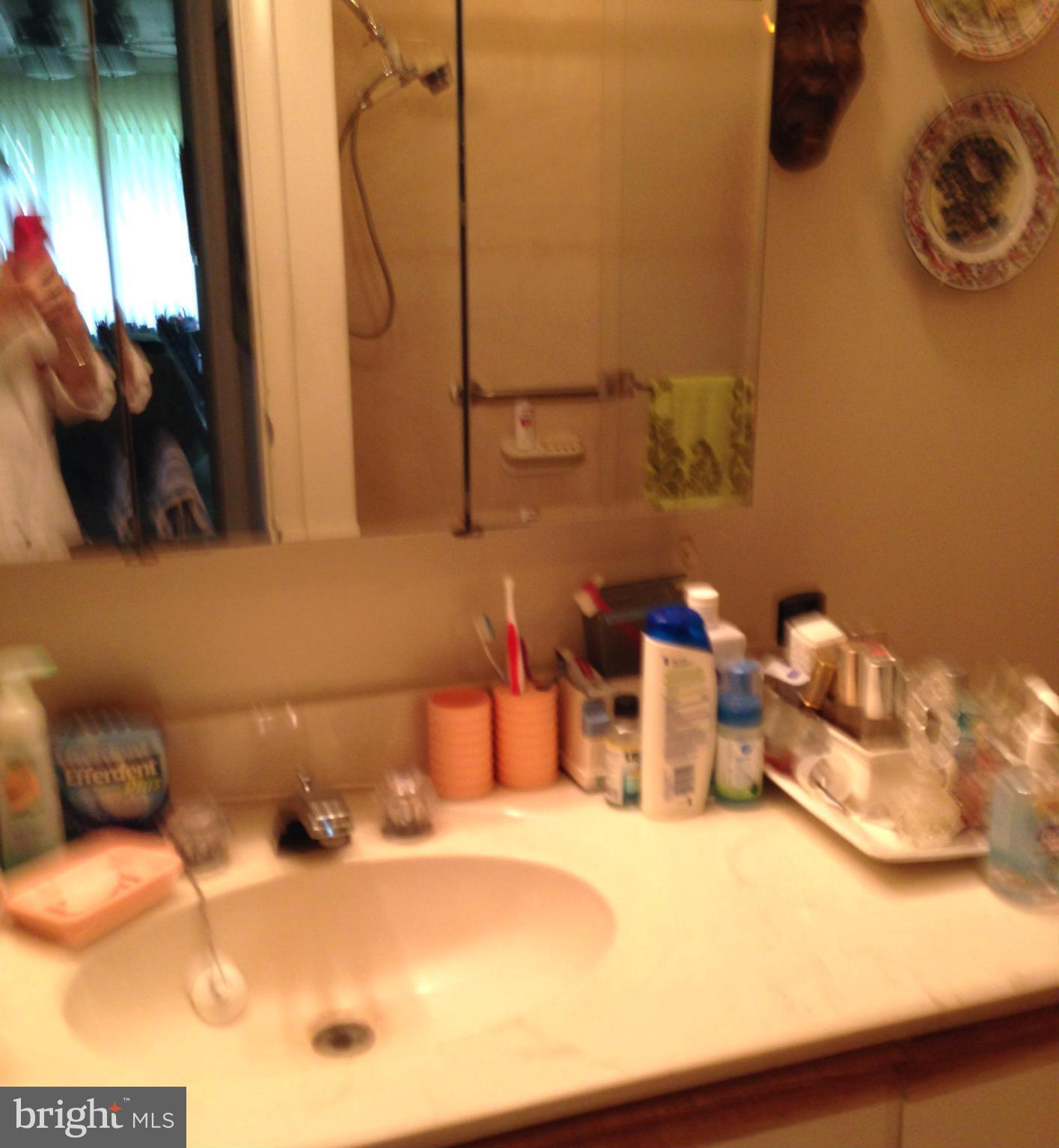 3011 Fallstaff Road, Unit 107A Baltimore, MD 21209 - Photo 9 of 14 a bathroom with a sink