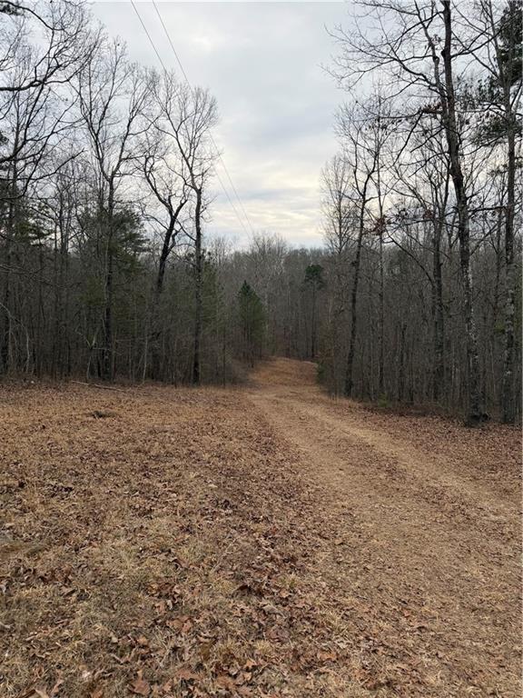 0 Hutcheson Road Temple, GA 30179 - Photo 6 of 9 a view of backyard with wooden fence
