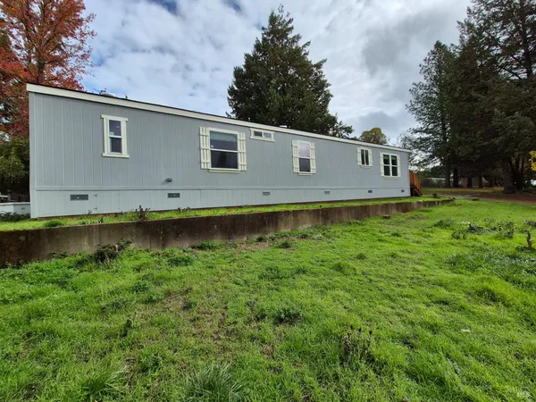 a view of a backyard with plants and large tree