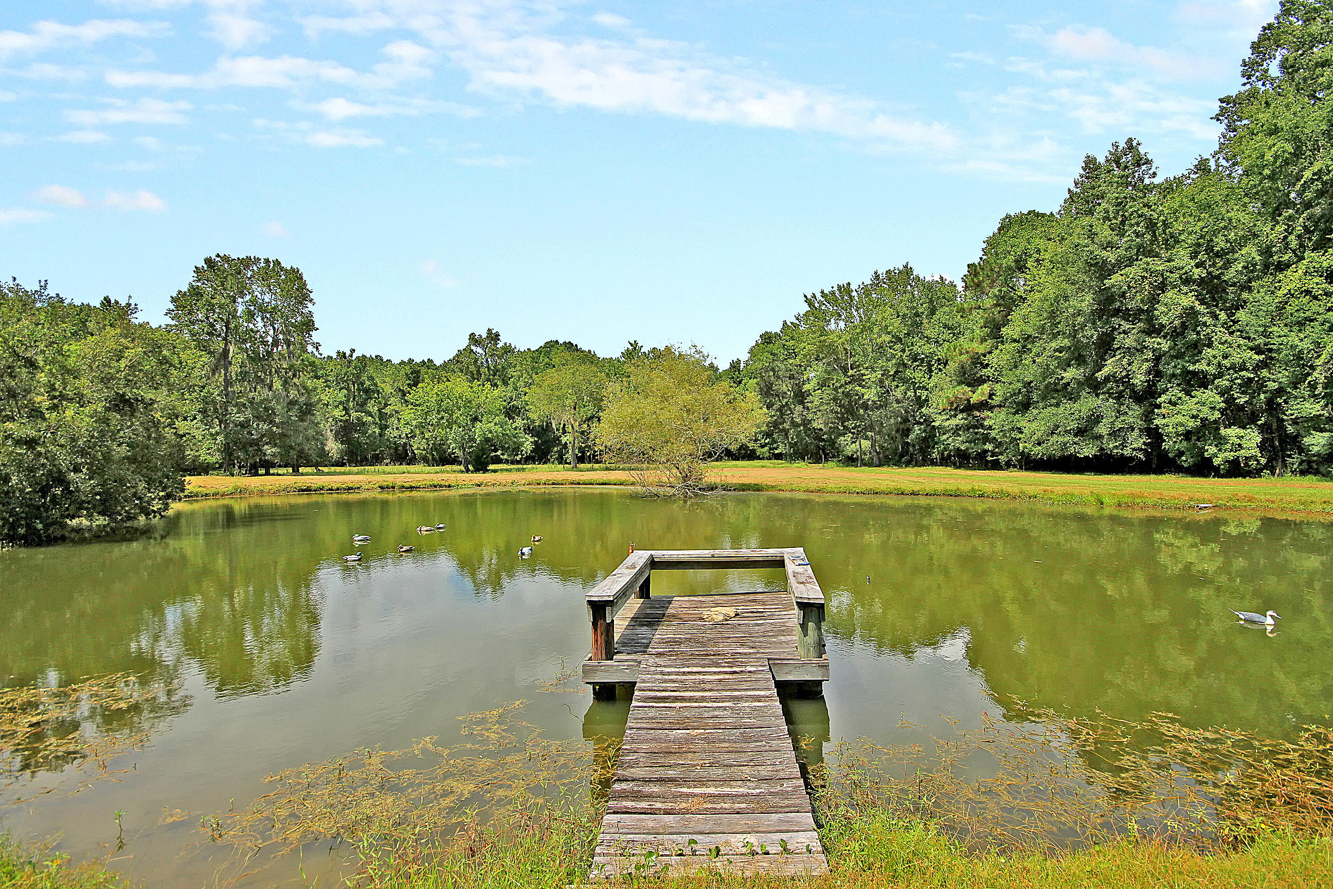 5909 Chisolm Road Johns Island, SC 29455 - Photo 18 of 70 Gallery Image 18