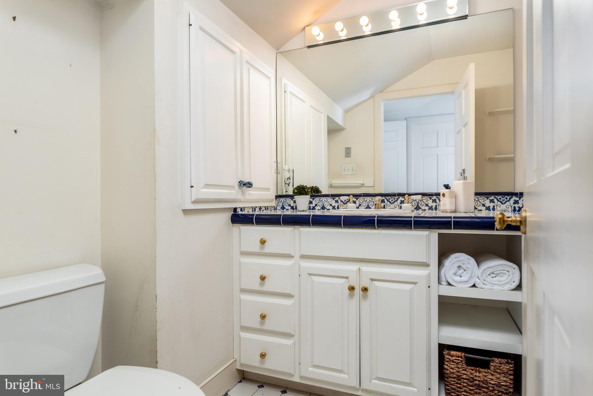 264 South Radnor Chester Road Villanova, PA 19085 - Photo 16 of 49 Primary Bathroom.