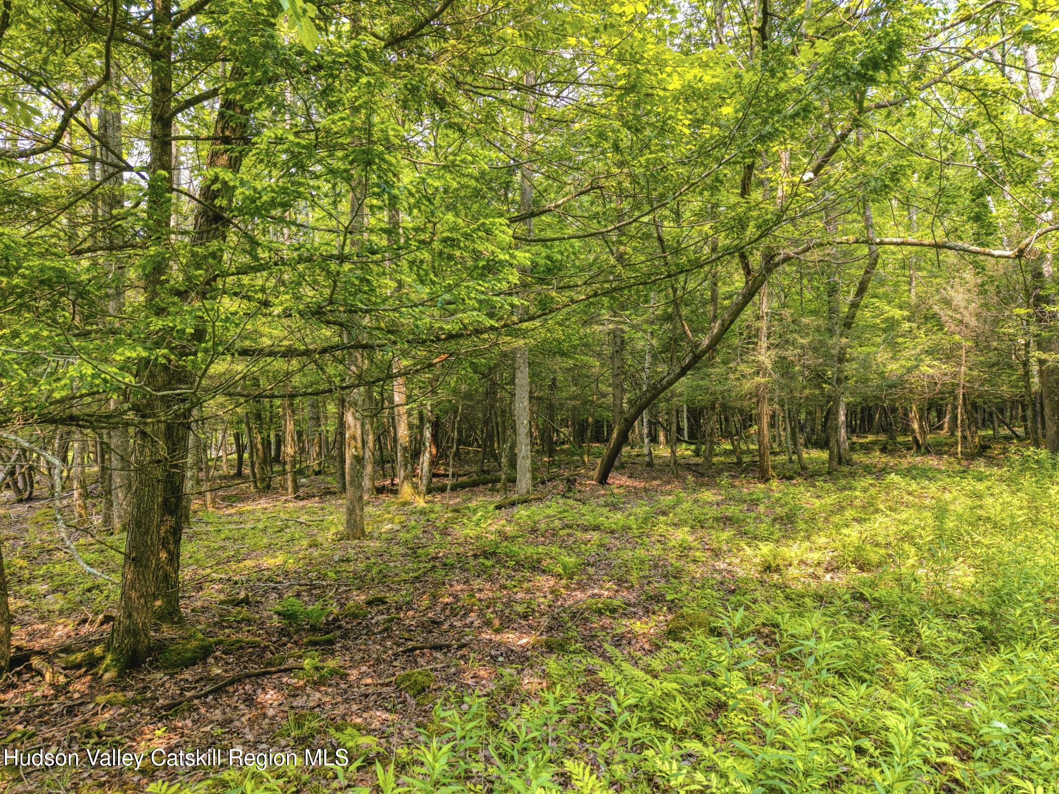 Tbd Boulder Brook Road Windham, NY 12496 - Photo 72 of 78 Image-59