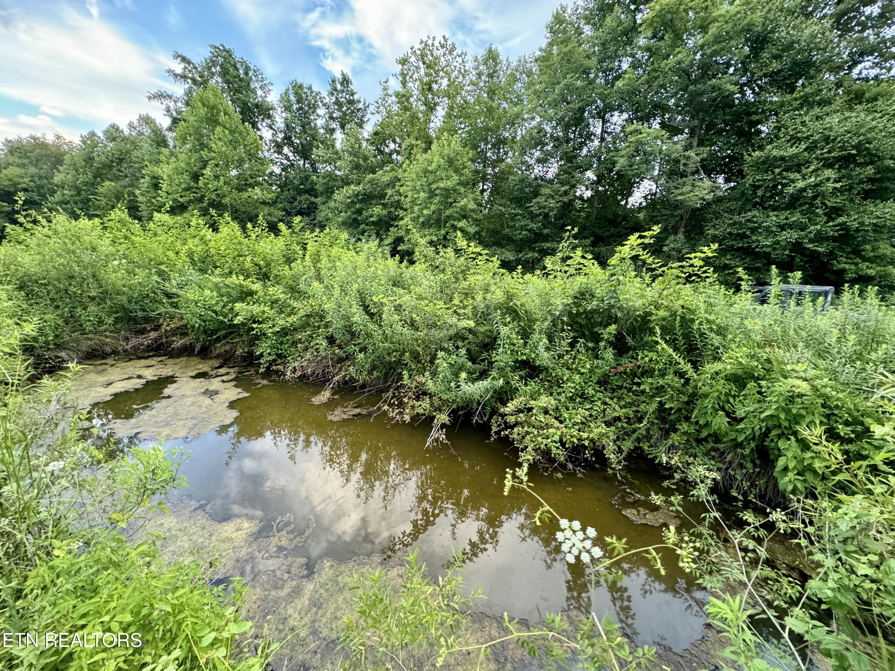 Smith Creek Road Oneida, TN 37841 - Photo 19 of 43 19