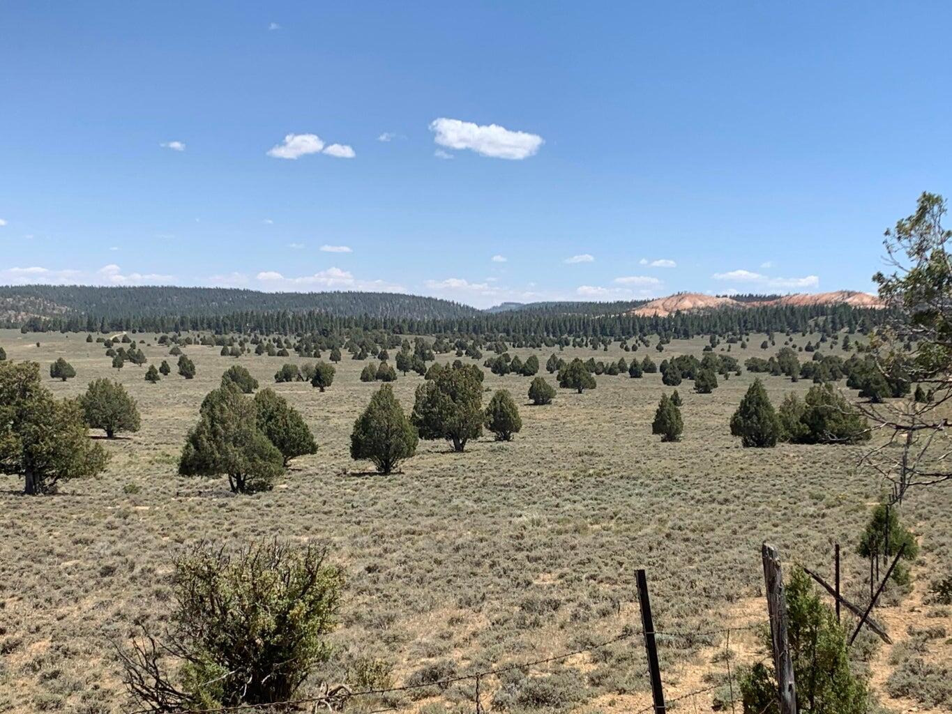 Parcel 15-0075-0240 Hatch, UT 84735 - Photo 1 of 7 40 ACRES johnson flat