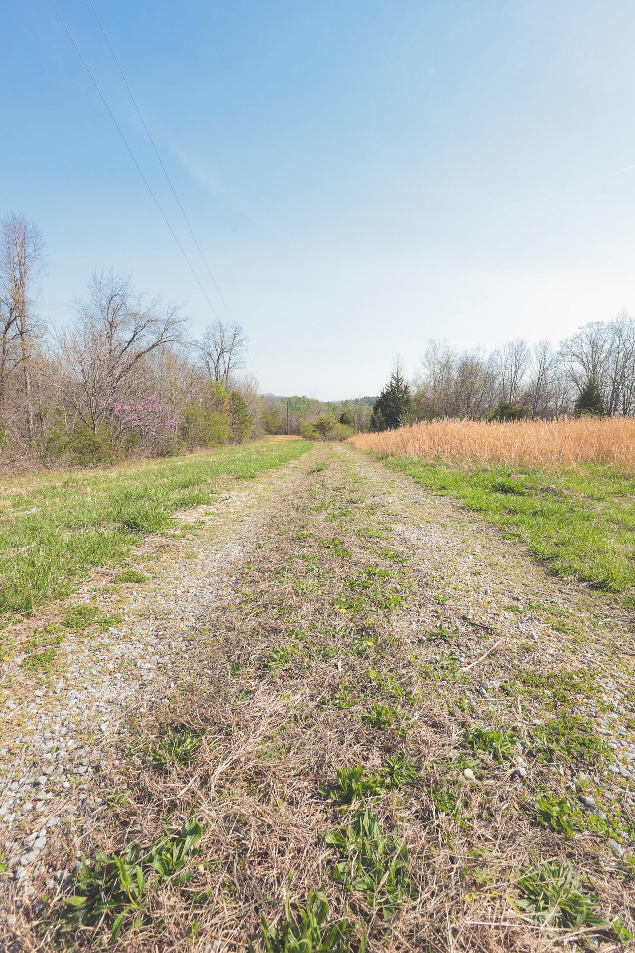 527 Dyer Hollow Road Dayton, TN 37321 - Photo 40 of 61 Gallery Image 40