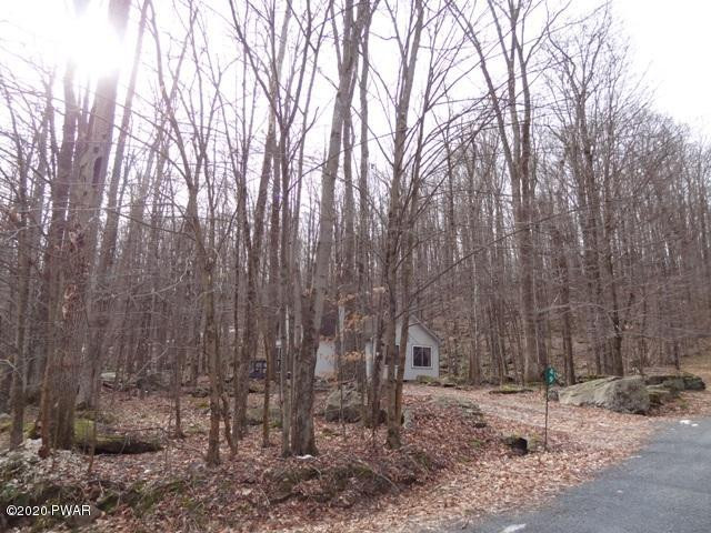 49 Ridge Road Lake Ariel, PA 18436 - Photo 21 of 28 21 View from the street