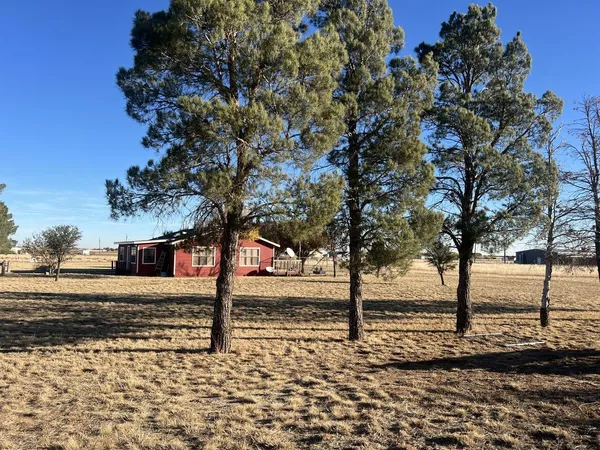 a view of a yard with trees