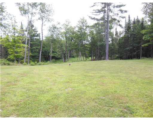 119 Argyle Road Alton, ME 04468 - Photo 25 of 27 Yard/Garden.