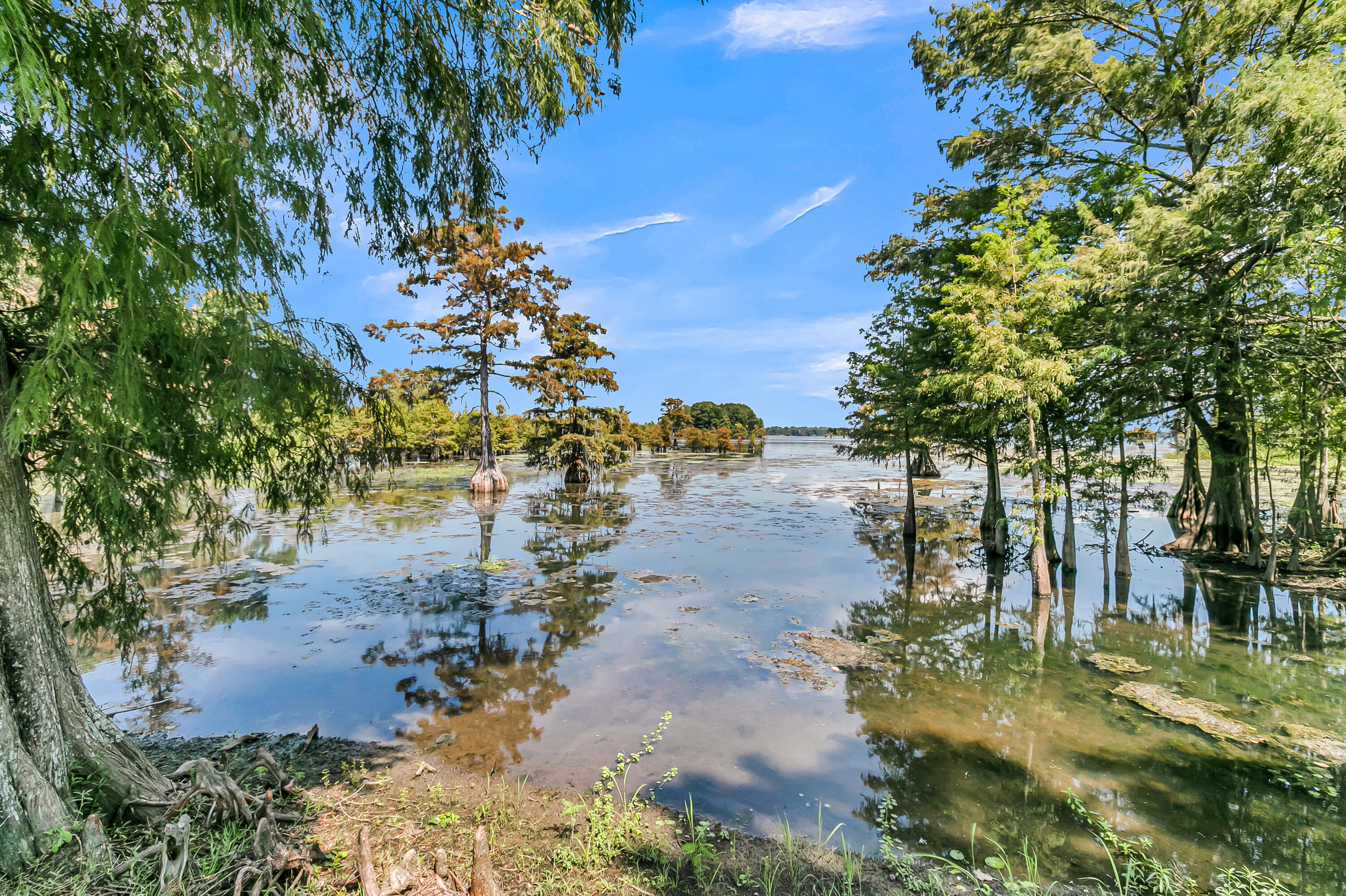 1232 Longpoint Road Cross, SC 29436 - Photo 20 of 55 Tray Ceiling/Waterviews