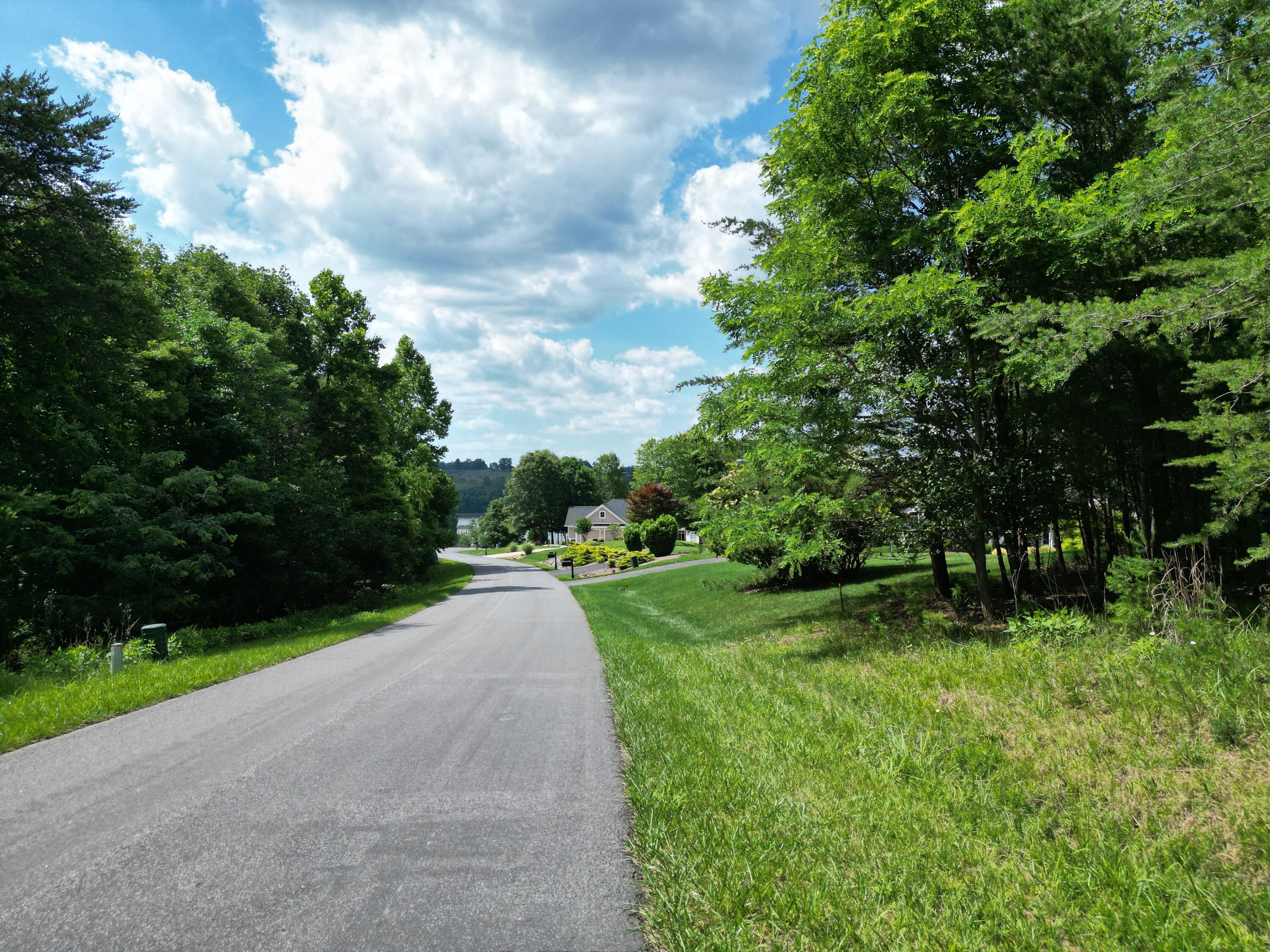 0 Ivy Lane Union Hall, VA 24176 - Photo 13 of 20 a view of a street both of side forest