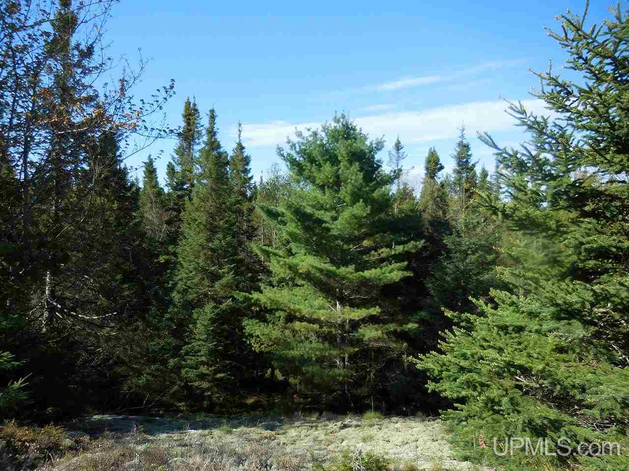 1480 Acres On Co Road Manistique, MI 49854 - Photo 12 of 49