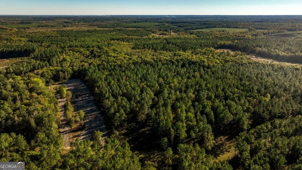 2 Old Savannah Road, Unit TRACT 2 Millen, GA 30442 - Photo 17 of 28