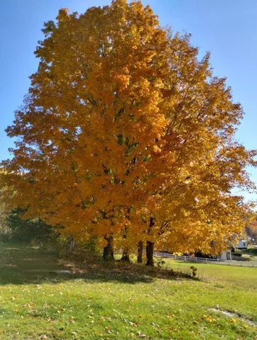 $399,900 | 39 Lake View Drive, Smithfield, ME 04978