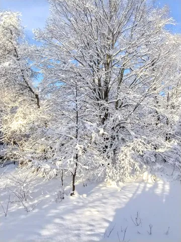 $399,900 | 39 Lake View Drive, Smithfield, ME 04978