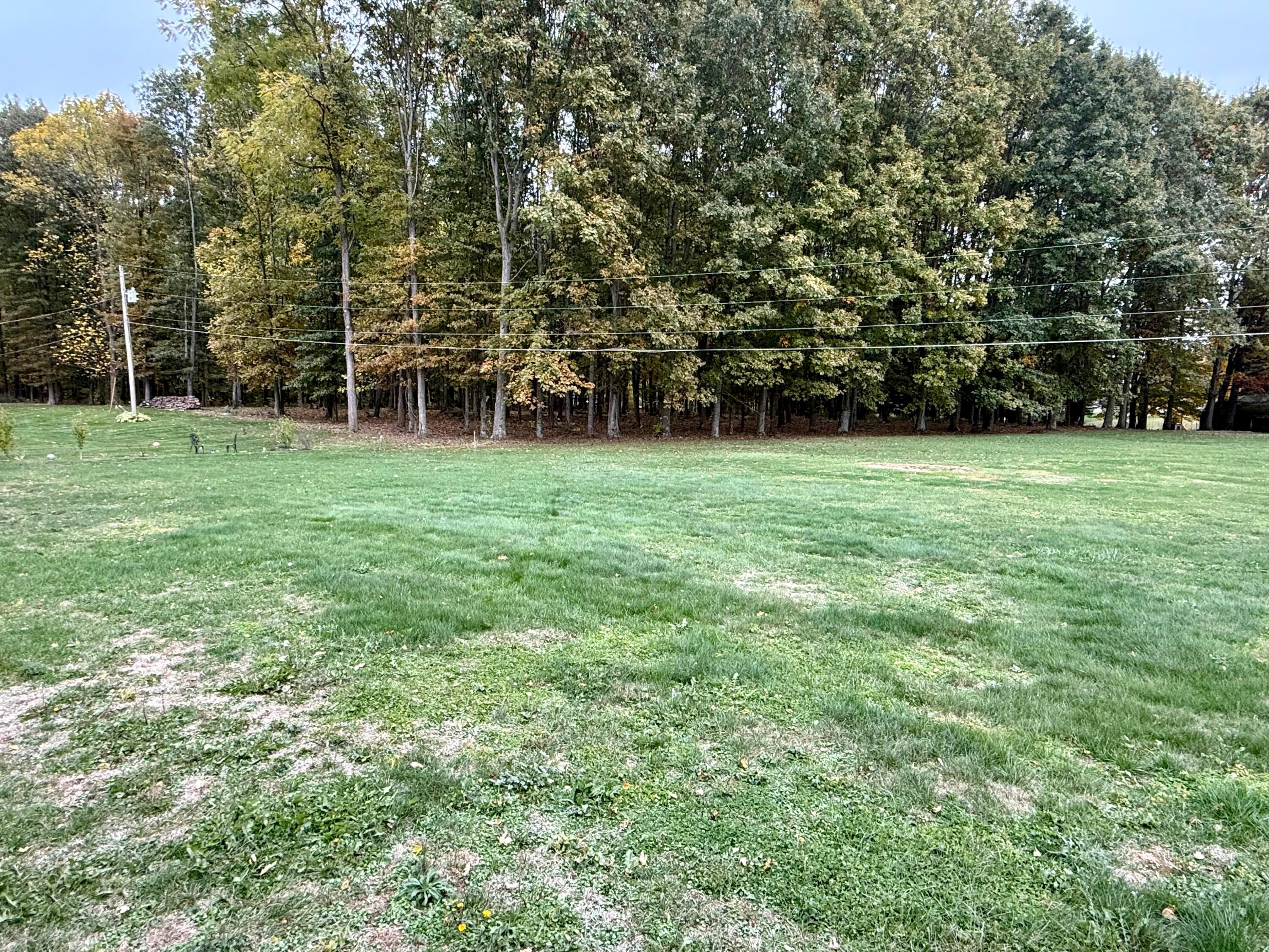 9136 Mt Gilead Road Fredericktown, OH 43019 - Photo 4 of 27 4