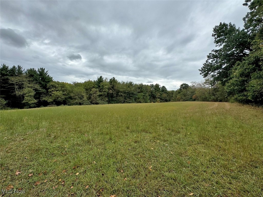 2354 Ivory Road Northwest Dellroy, OH 44620 - Photo 6 of 41 View of landscape