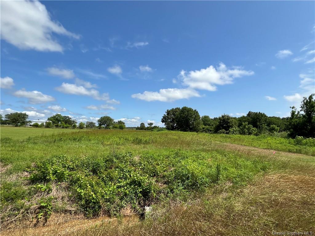 0 Ardoin Cove Road Iowa, LA 70647 - Photo 3 of 5