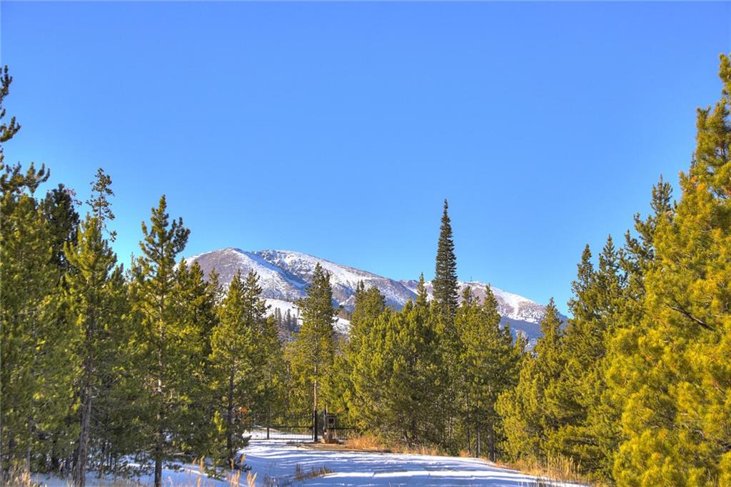 280 Gold Hill Road Breckenridge, CO 80424 - Photo 11 of 34 a view of a tree with a yard